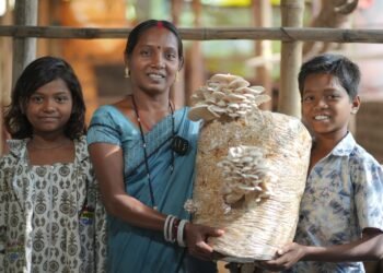 बालको की उन्नति परियोजना ने बदली ज़िंदगी, गंगोत्री से मशरूम दीदी बनने का सफर