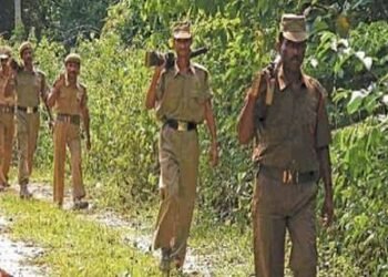 वन विभाग में निकली बंपर भर्ती, 10वीं पास भी कर सकते हैं आवेदन, 1679 पदों के लिए जारी हुआ नोटिफिकेशन …