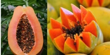 बिना काटे इस तरह करें मीठे पपीते की पहचान, जान लें ये आसान तरीका…
