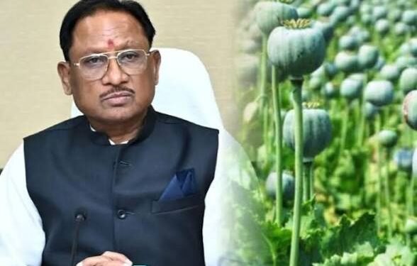 प्रदेश में अवैध अफीम खेती पर सख्त एक्शन, मुख्यमंत्री विष्णु देव साय ने सभी कलेक्टरों को दिया बड़ा निर्देश…