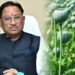 प्रदेश में अवैध अफीम खेती पर सख्त एक्शन, मुख्यमंत्री विष्णु देव साय ने सभी कलेक्टरों को दिया बड़ा निर्देश…