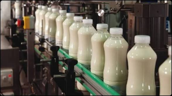 प्रदेश में ‘सफेद जहर’ का कहर, मिलावटी दूध पीने से 16 की मौत; एथिलीन ग्लाइकॉल ने उजाड़े कई परिवार…