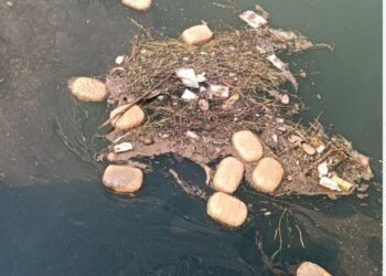 नहर में तैरते पैकेट्स ने खोला बड़ा राज पास जाकर देखा तो निकला 73 किलो का…