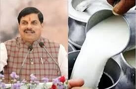 प्रदेश को ‘मिल्क कैपिटल’ बनाने की तैयारी में मोहन सरकार ये मास्टरप्लान तैयार…