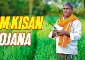 सावधान रुक सकती है आपकी पीएम किसान योजना की अगली किस्त, यूपी-बिहार समेत इन 14 राज्यों में लागू हुई ये नई व्यवस्था…