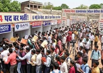 794 पदों पर रोजगार मेला, 6 मई को युवाओं को मिलेगा नौकरी का मौका…