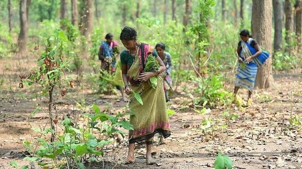 राज्यपाल ने गरियाबंद जिले में जल संरक्षण, प्राकृतिक खेती और जनकल्याणकारी योजनाओं पर दिया विशेष जोर…