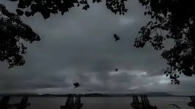 प्रदेश में मानसून की रफ्तार धीमी, बढ़ी गर्मी-उमस; 50 किमी की रफ्तार से चल सकती हैं तेज हवाएं…