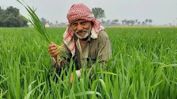 किसानों के लिए बड़ी खबर, फसल बीमा कराने के लिए 31 जुलाई तक मौका, धान समेत इन 10 फसलों पर योजना लागू..
