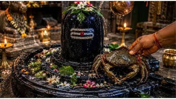बेलपत्र नहीं इस शिव मंदिर में भोलेनाथ को चढ़ता है जिंदा केकड़ा ये है सदियों पुरानी रहस्यमयी परंपरा…