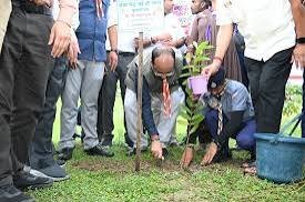 उप मुख्यमंत्री ने किया पौधारोपण, बोले हरियाली बढ़ेगी तो पर्यावरण भी स्वस्थ और सुंदर बनेगा…